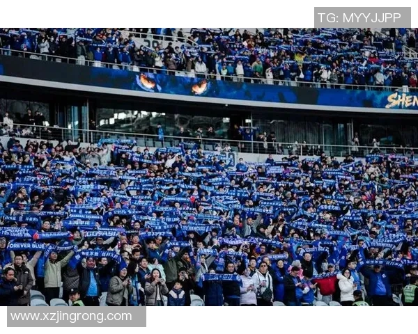 中超激战申花迎战山东球迷期待精彩对决与精彩进球