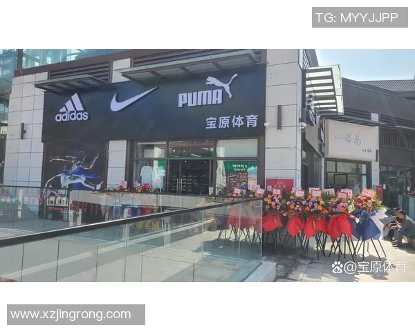探索上海宝原体育代理品牌的市场潜力与发展前景分析 探索上海宝原体育代理品牌的市场潜力与发展前景分析
