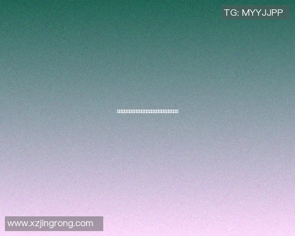 篮球明星现在哪个队效力揭秘及其职业生涯发展动态分析