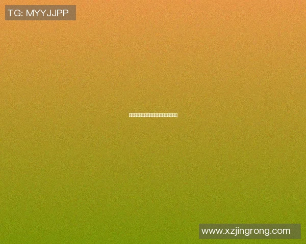 篮球明星的成长之路与梦想追逐的真实故事